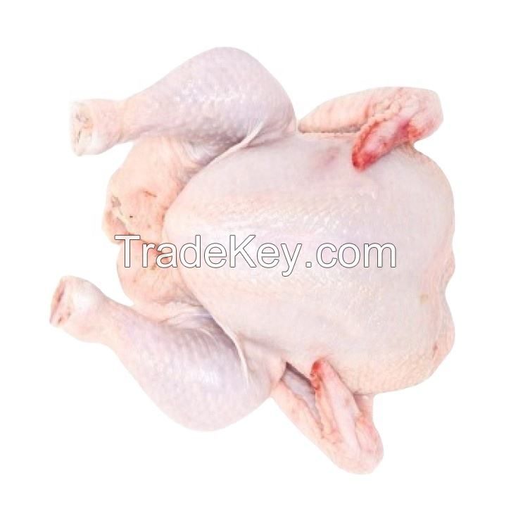 Freshly Made Frozen Chicken Skinless Boneless food grade 5kg pack 25tons 15days wholesale halal frozen whole chicken giblets