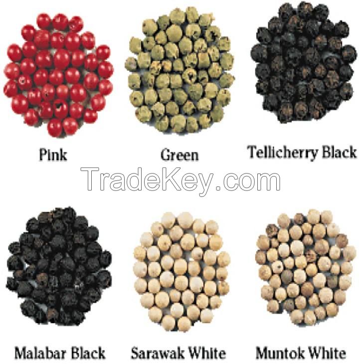 bulk organic black and white pepper for cheap export price sales sarawak black pepper black pepper seeds for sale organic bulk