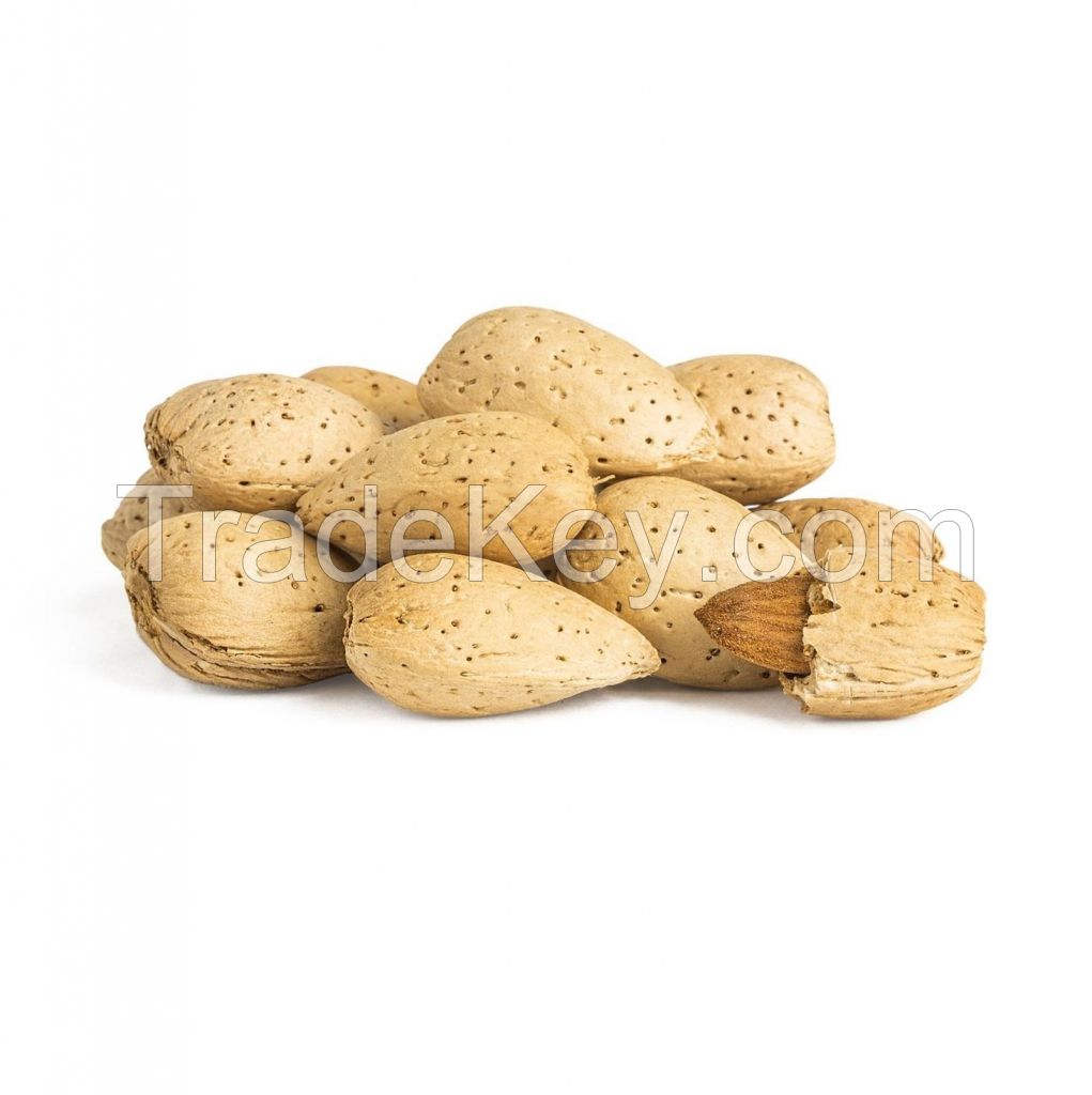 Buy Raw Almonds Online | Cheap Price Almonds Nuts In-shell