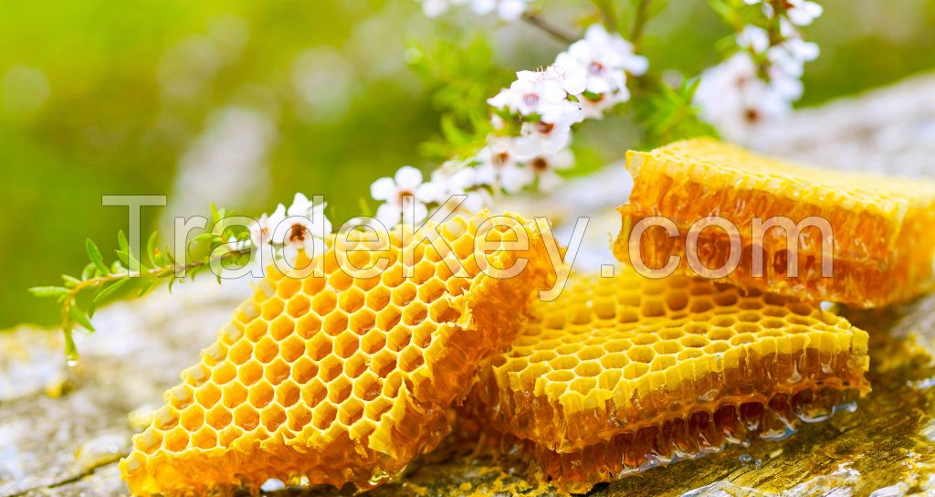 Wholesale Most Popular 100% Pure raw Honey Pure Bee Honey