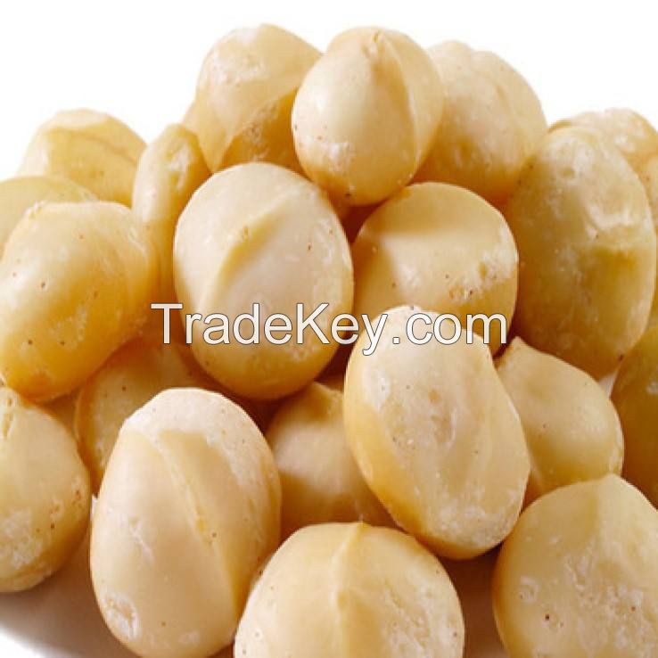 south africa various size rich nutrition price nuts macadamia for sale raw organic macadamia nuts  shell nut macadamia macademia