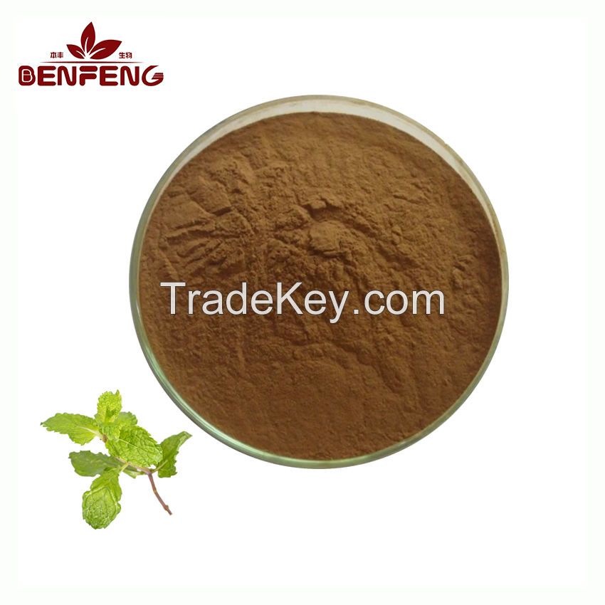 Pure Natural Spearmint Extract Food Grade 10:1 Spearmint Mint Extract Powder