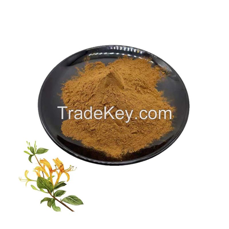 Pure Natural Honeysuckle Extract Powder Herbal Plant Extract Honeysuckle Extract