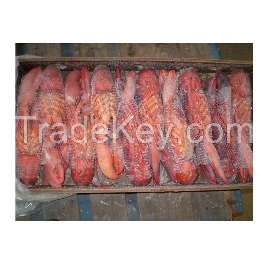Frozen Lobster Frozen Lobster Tails Fresh Live Lobster