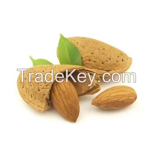 Buy Raw Almonds Online | Cheap Price Almonds Nuts In-shell