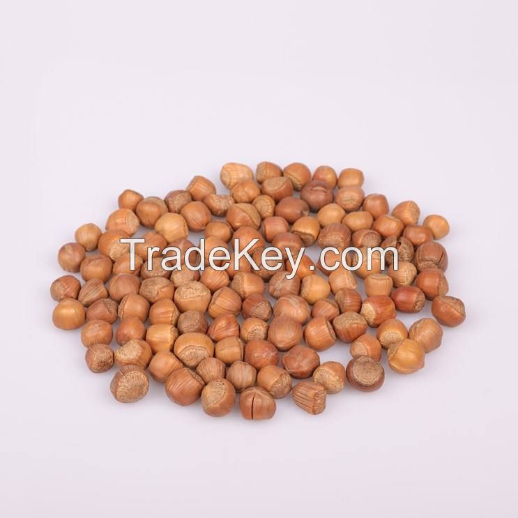 High quality organic best-selling cheap peel raw hazelnut 100% natural premium quality organic raw roasted hazelnut raw