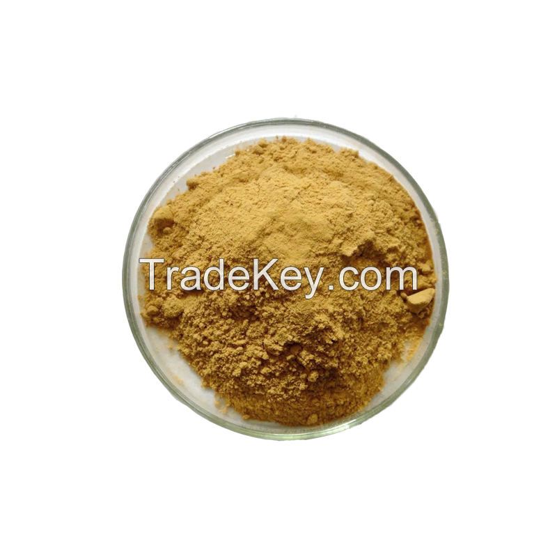 Hot Selling Hamamelis Virginiana Extract Powder Natural Organic Witch Hazel Extract