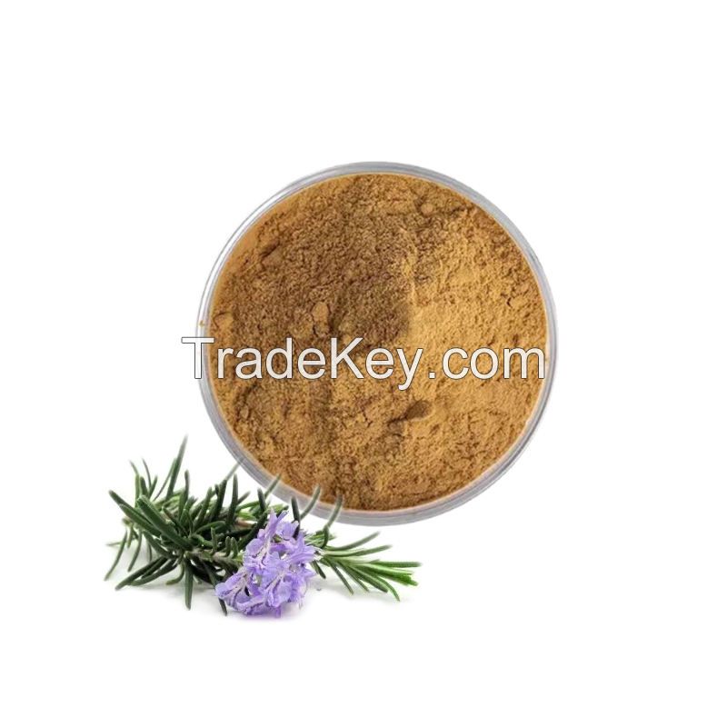 Good Price Rosemary Extract Powder Rosemary Leaf Extract Rosemary Extract