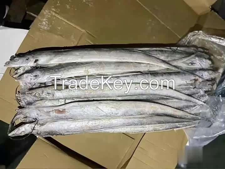 Frozen Ribbon Fish whole round Bulk Pack 10kg frozen ribbon fish fresh tilapia supplier block bulk style ribbon fish