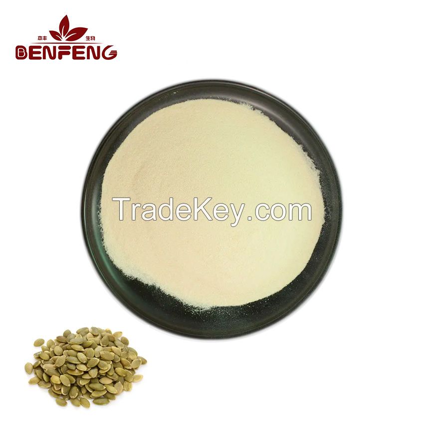 Food Pumpkin Seed Extract 60% Pumpkin Seed Protein  Pumpkin Seed Protein Powder