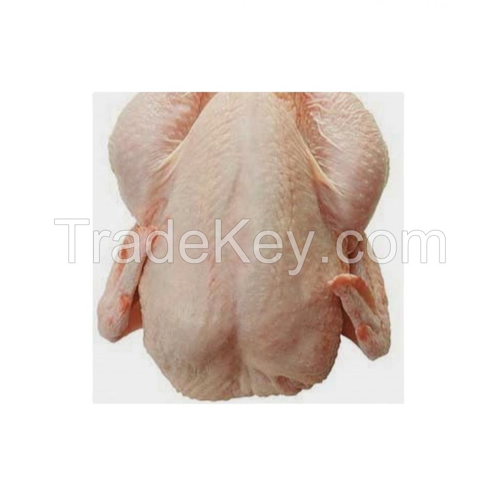 Wholesale custom private label Chicken breast fillet food 35cm carton 15kg 5days human consumption chicken paws