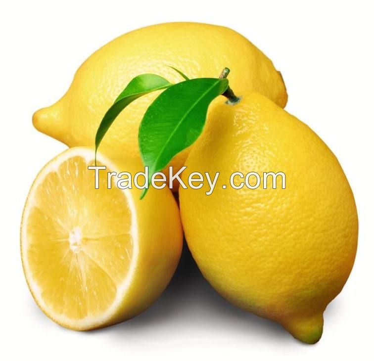 wholesale bulk eureka yellow fresh lemon  for sale south africa fresh lemon yellow lemon farm