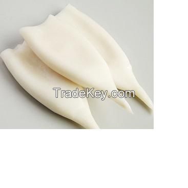 frozen baby loligo squid whole Round fishing box packing packaging organic parts squid feature weight sugar material shelf