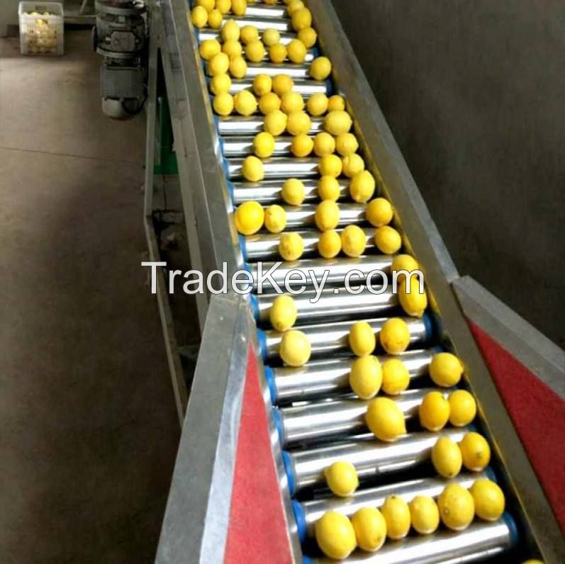 wholesale bulk eureka yellow fresh lemon  for sale south africa fresh lemon yellow lemon farm