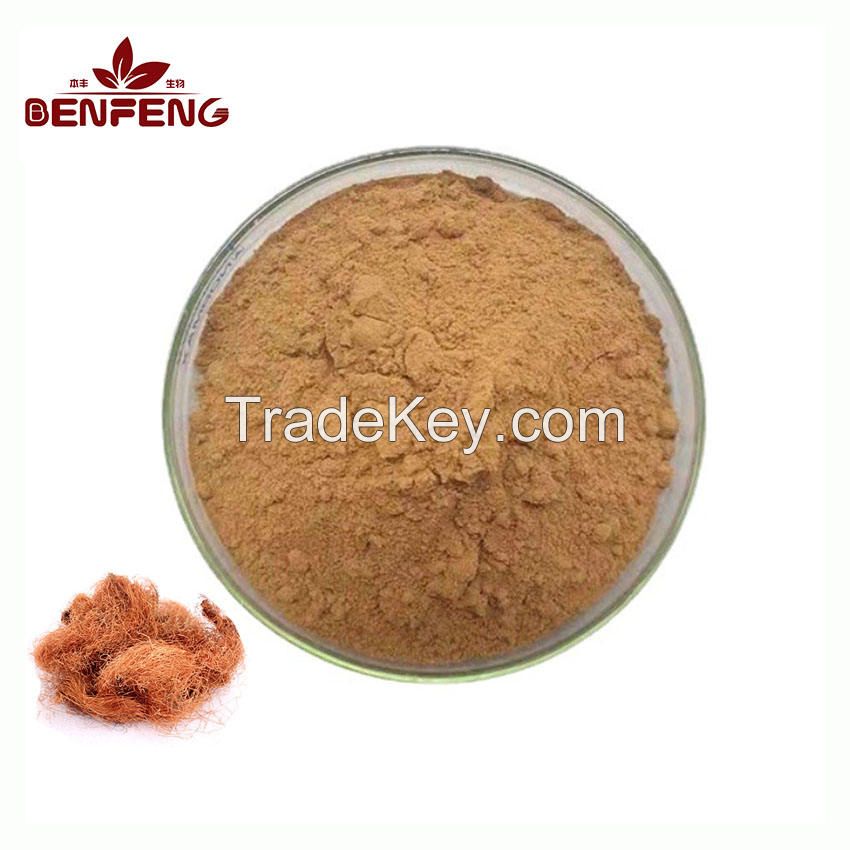 ISO High Quality Corn Stigma Extract Powder Food Grade  Corn Silk Extract Powder