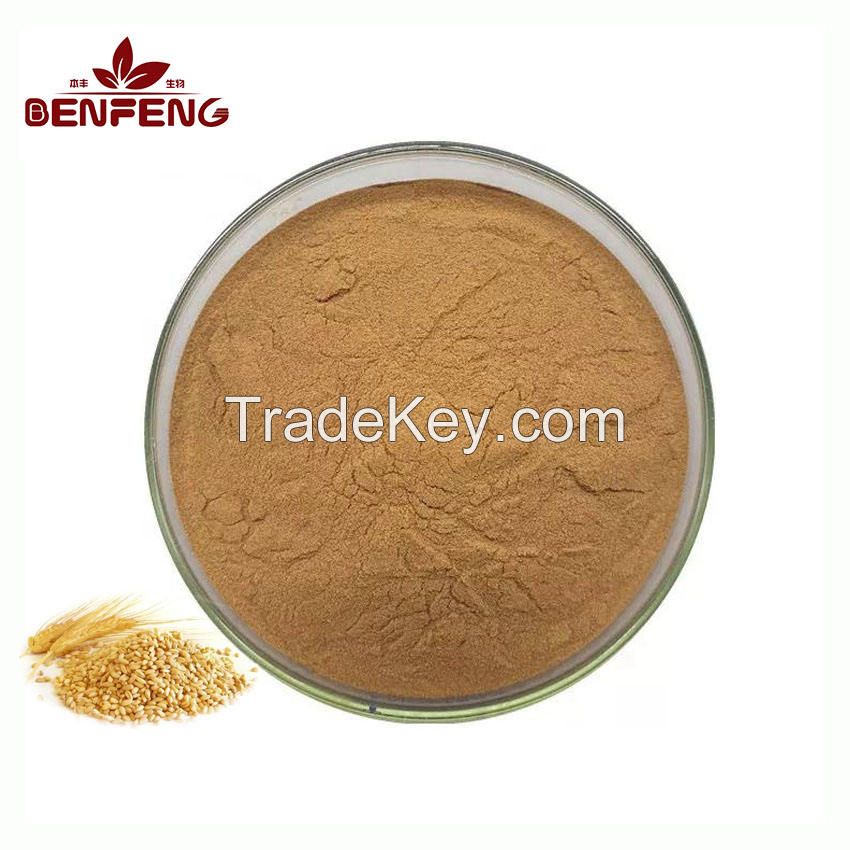 Hot Selling Bulk Malt Powder Pure Natural Food Grade Malt Extract Powder