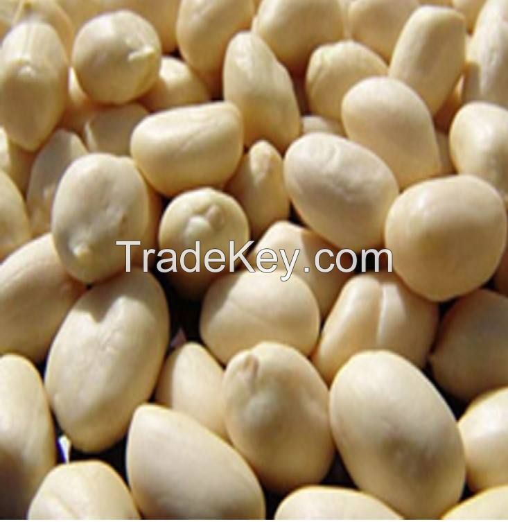 wholesale dried natural color peanuts shelled for sale packing in cartons roasted groundnuts  peanuts  raw peanuts