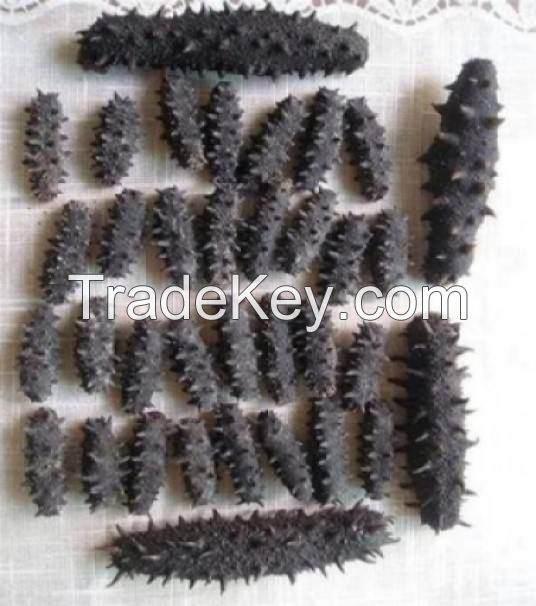 nutritious sea cucumber dry to regulating blood lipid white teat fish dried sea cucumber Packaging Organic Feature Shelf Origin