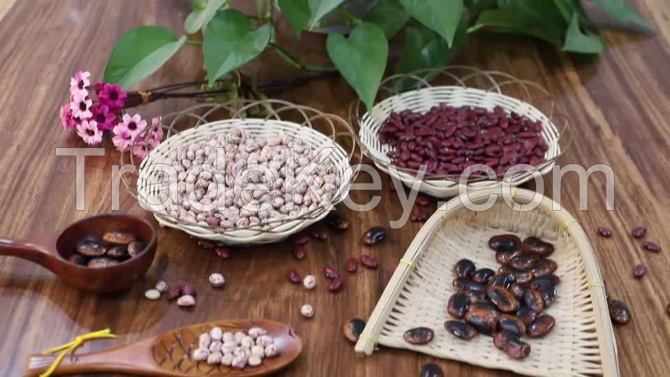 beans wholesale high quality packing organic green mung red black spanish white kidney beans dried kidney beans for sale