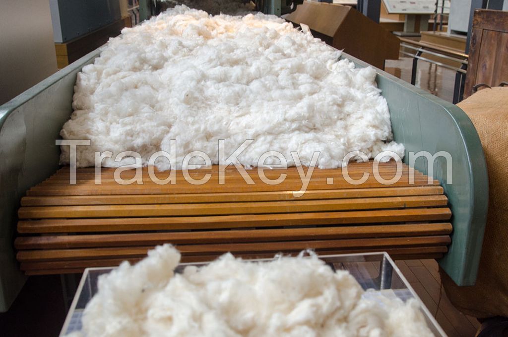 Raw cotton / Cotton Yarn / Cotton Fiber Worldwide