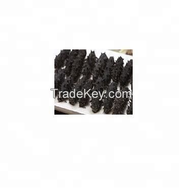 dried sea cucumber, price of dried sea cucumber, sea cucumber for sale best price high quality frozen sea food wild sea cucumber