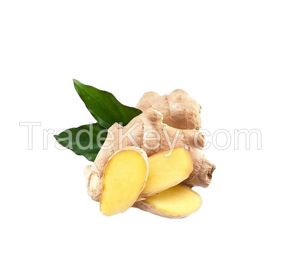 Wholesale custom private label dried fresh ginger chinese mature super ginger 25kg 25tons 15days fresh dried dry ginger