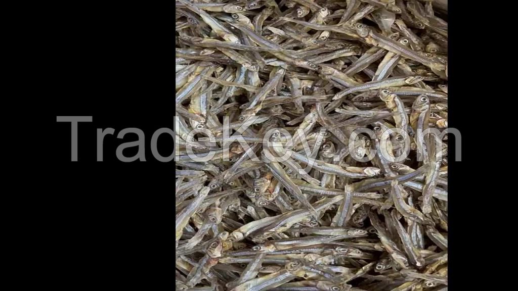 tuna dried fish south africa whole delicious dried salted fish 10kg carton 15tons 15days packaging package buyers for dried fish