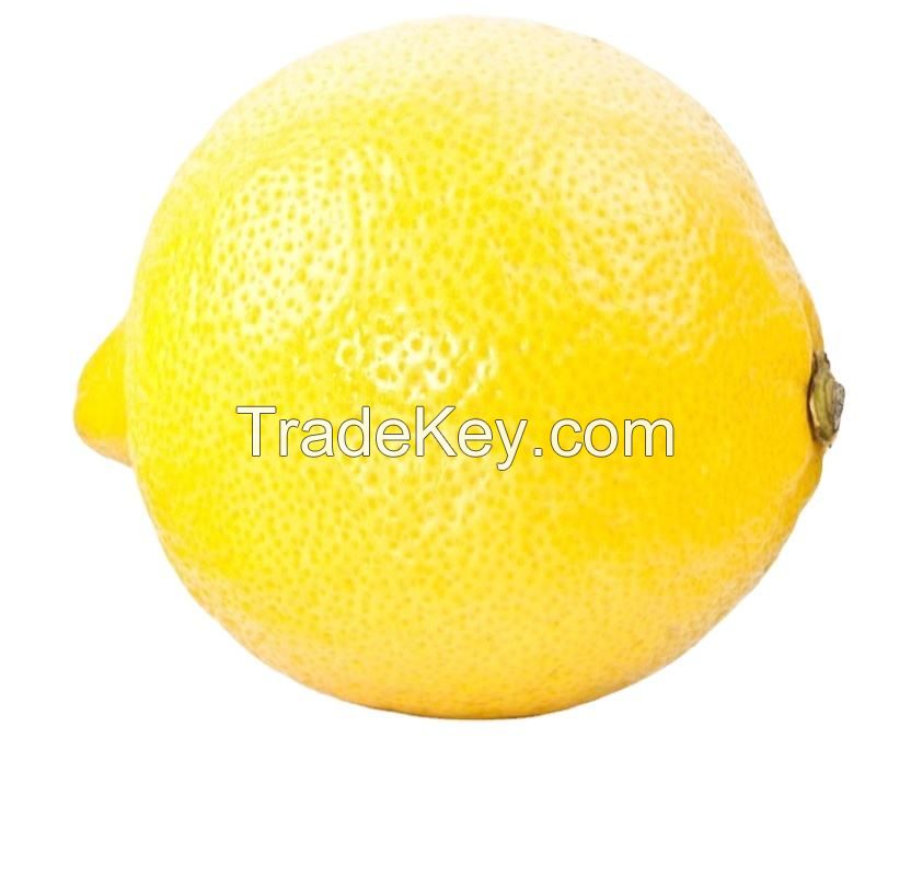 wholesale bulk eureka yellow fresh lemon  for sale south africa fresh lemon yellow lemon farm