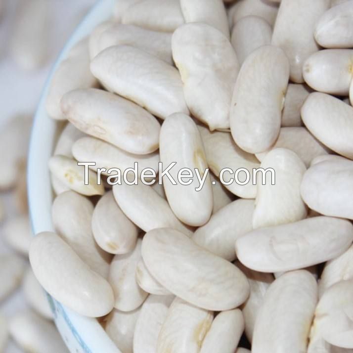 wholesale high quality dry long white kidney beans packing organic green mung bean red black max bulk style