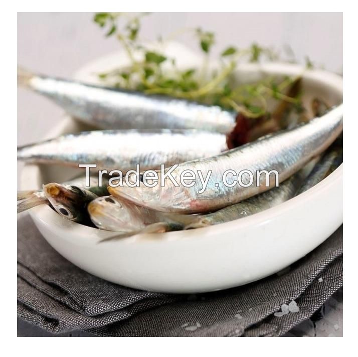 Sardine Fish Export Frozen Sardine Fish Whole Round Frozen Sardine Fish