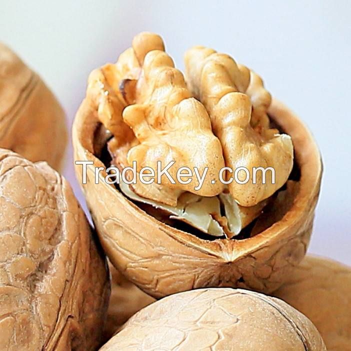 south africa best selling organic dried walnut nuts & kernels walnuts high quality walnut kernel chinese supplier low price