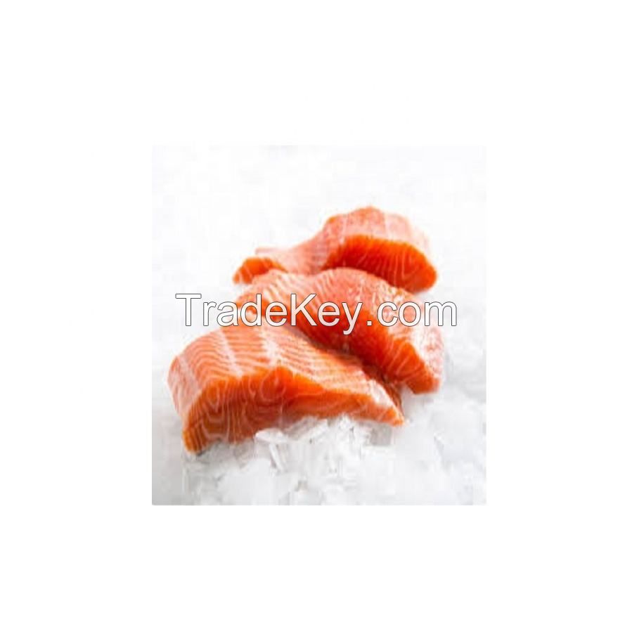 Seafood horse mackerel fillet now ready for sale pacific spanish mackerel fillets frozen spanish mackerel fillets  frozen sea fo