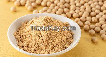 Supply Food Grade Sunflower Lecithin Powder Sunflower Lecithin