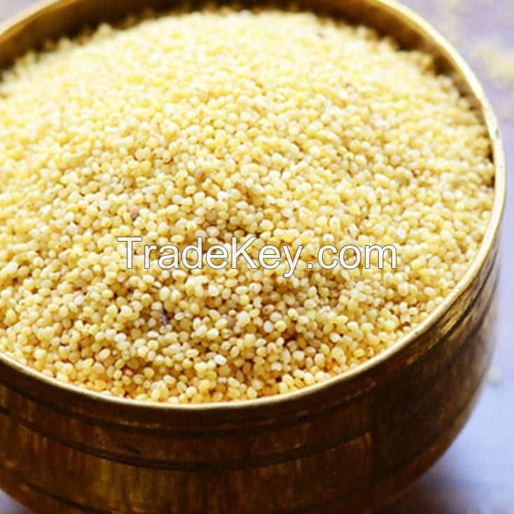 Tibetan Origin Plantation Directly Supplied Quinoa Competitive Price Wholesale Quinoa Seeds Max White Style Organic