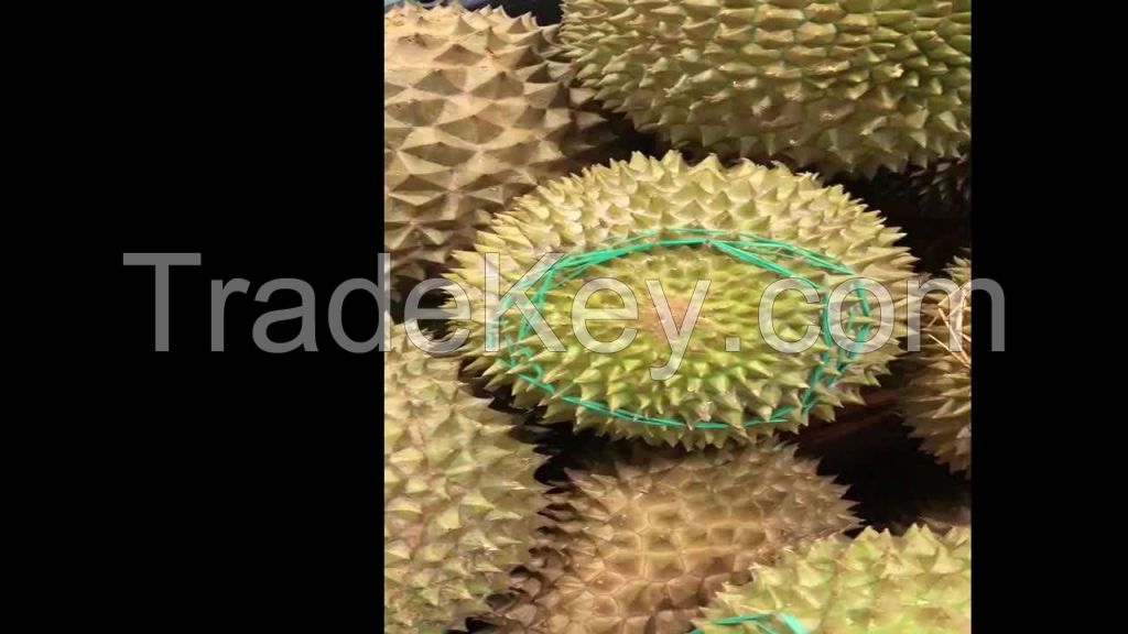 king durian d197 frozen tropical fresh durian fruit nutrition for sale fresh musang king freeze dried durian