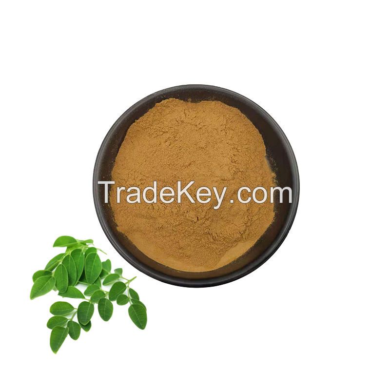 High Quality Moringa Leaf Extract Food Grade Natural 10:1 Moringa Extract Powder