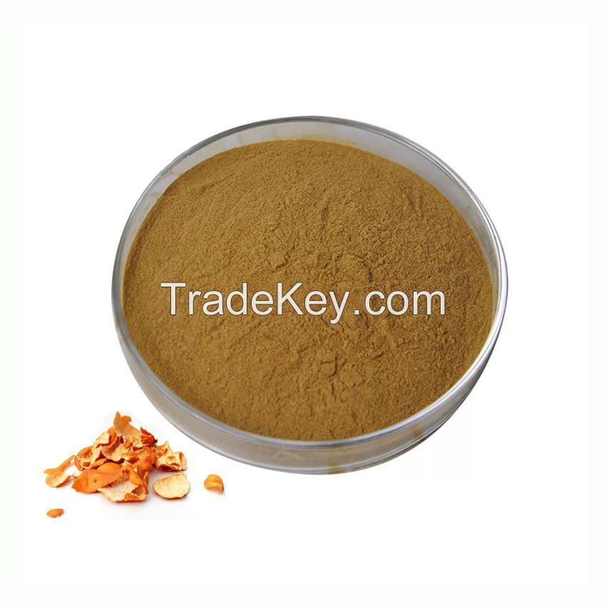 High Quality Orange Peel Extract Health Supplement 10:1 Tangerine Peel Extract Powder