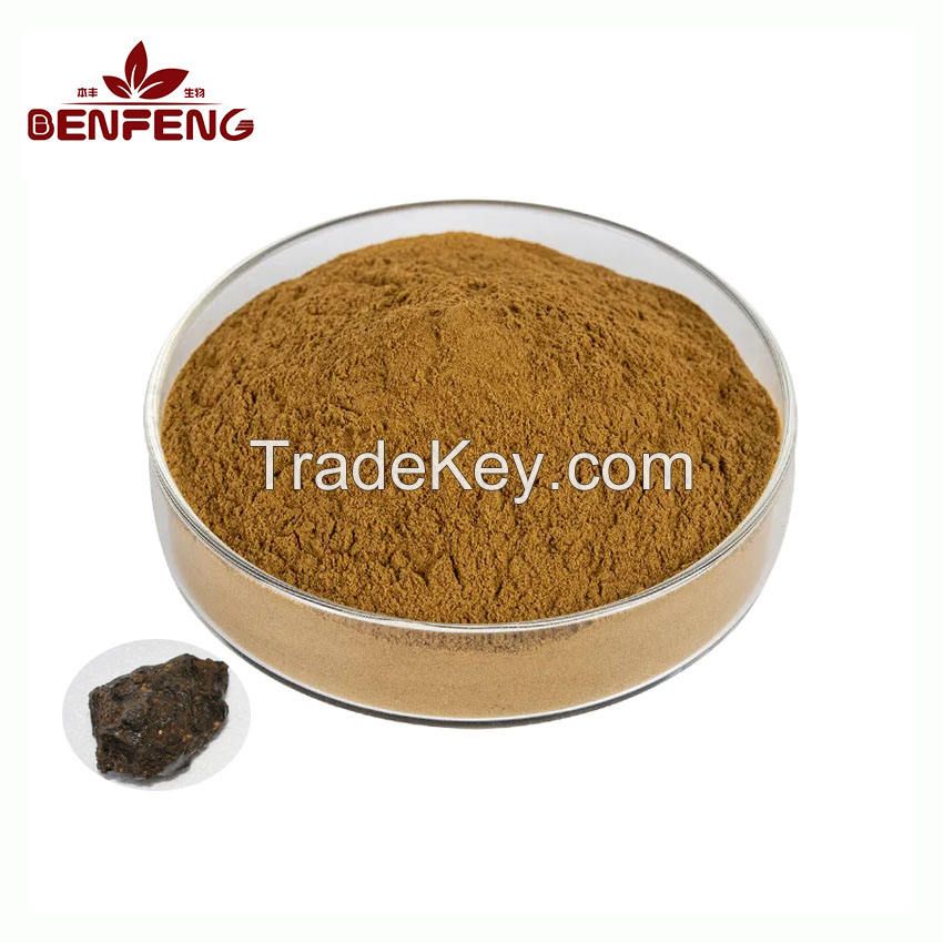 Natural Powder Shilajit Extract 40% Fulvic Acid Shilajit Extract Powder