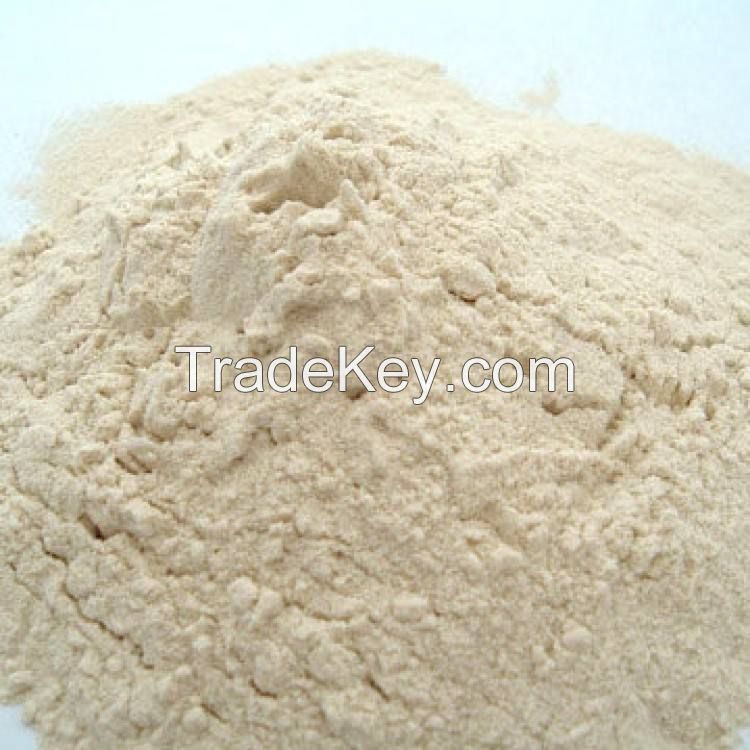 protein rich wholesale organic vital wheat gluten flour almond flour wheat flour and white skin 100 natural for sale