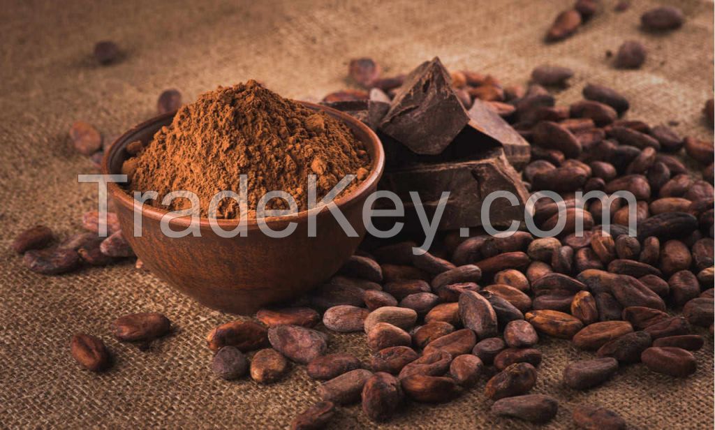 Wholesale Brown Dark Black Cocoa Powder Chocolate Natural Alkalized Cocoa Powder