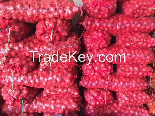 Freshest onion manufacturer exporting fresh yellow onion, red onion, white onion all year round for fried food 3--12cm onions