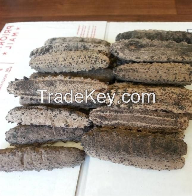 dried sea cucumber for sale price of bulk quality best suppliers freeze dried sea food frozen Sea Cucumber