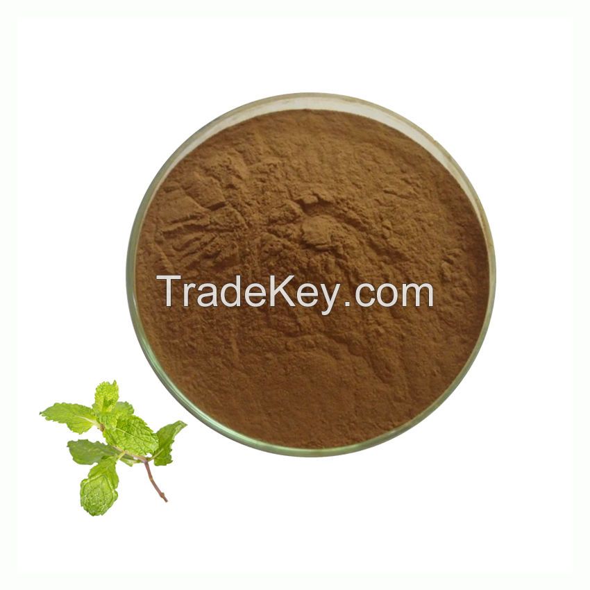 Pure Natural Spearmint Extract Food Grade 10:1 Spearmint Mint Extract Powder