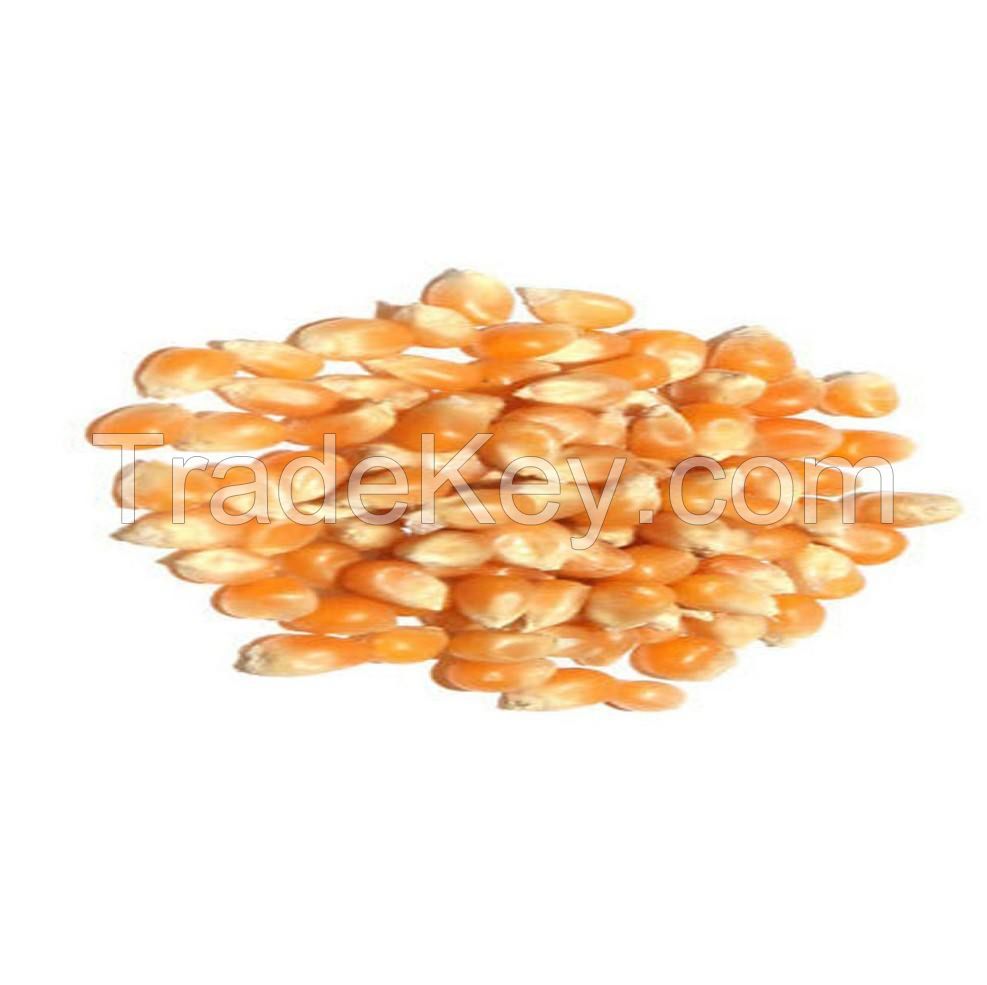 safe and reliable organic mushroom popcorn crisp popcorn large suppliers for sale vegetable frozen sweet corn high quality