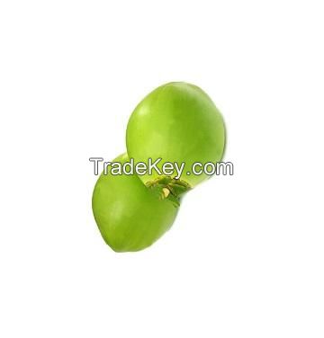 high quality from fresh young coconut fresh trimmed tender coconut young coconut semi husked for sale