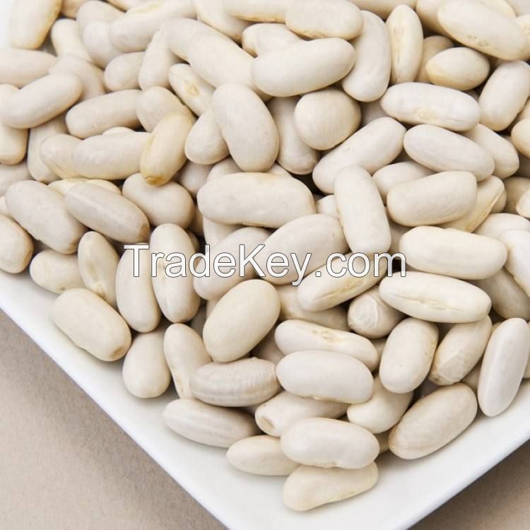 beans wholesale high quality packing organic green mung red black spanish white kidney beans dried kidney beans for sale