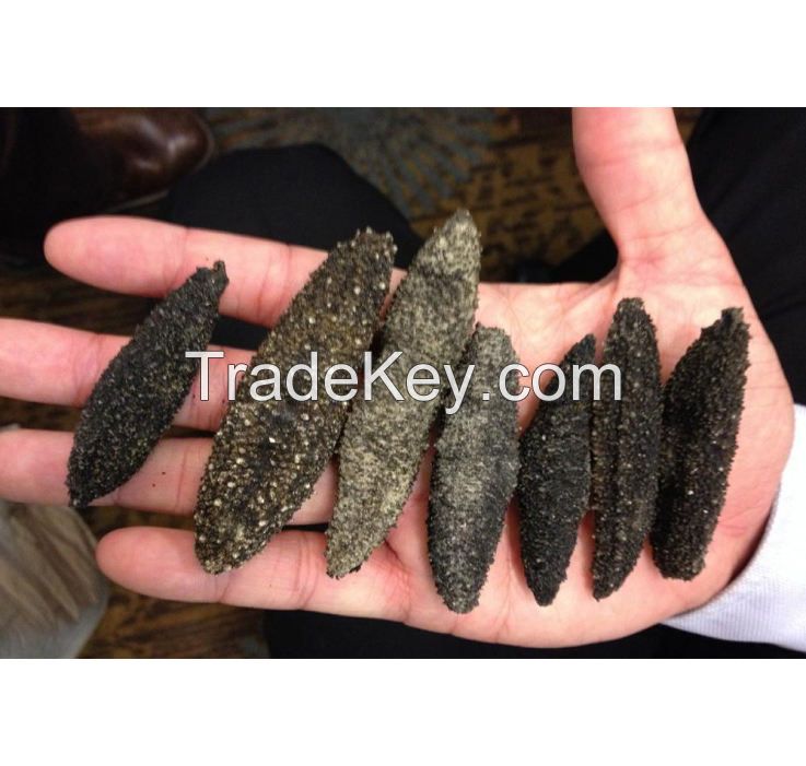 nutritious sea cucumber dry to regulating blood lipid white teat fish dried sea cucumber Packaging Organic Feature Shelf Origin