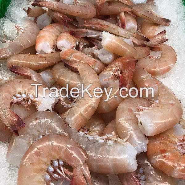 Best Quality Hot Sale Price Frozen Red Shrimps (Seafood) From the best Wholesale seller