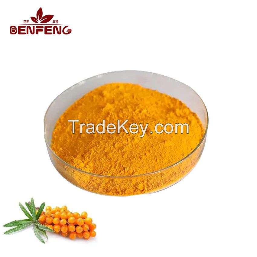 High Quality Fruit Powder Sea Buckthorn Berry Juice Powder Sea Buckthorn Powder