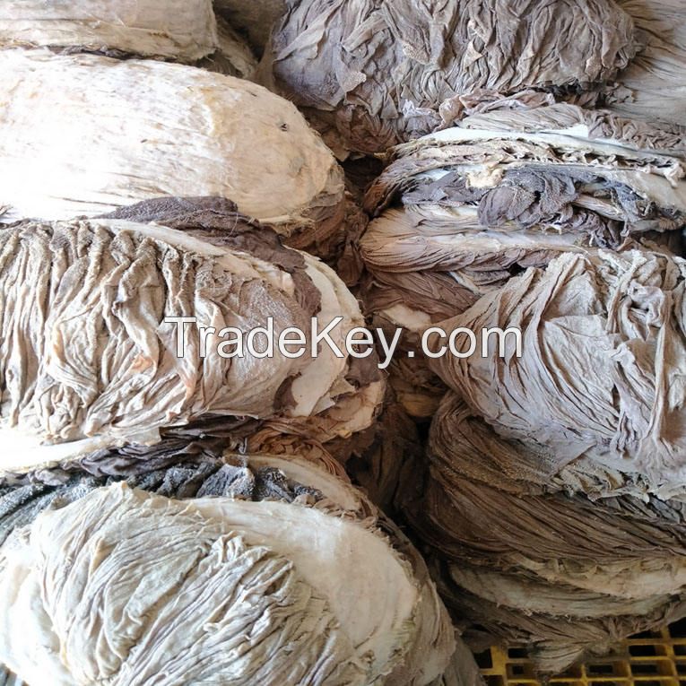 omasum salted beef wholesale dry salted beef omasum and buffalo offal bulk suppliers halal beef omasum dried salted